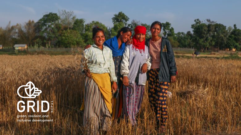 Girls in a crop fields of Nepal 