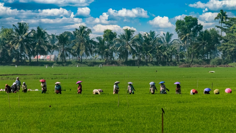 World Bank Approves Additional Financing to Build Climate