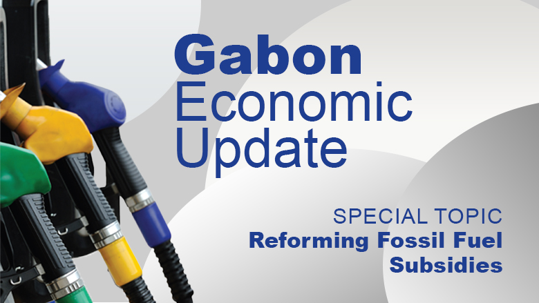 New World Bank Gabon Economic Update Highlights the Importance of Pro ...