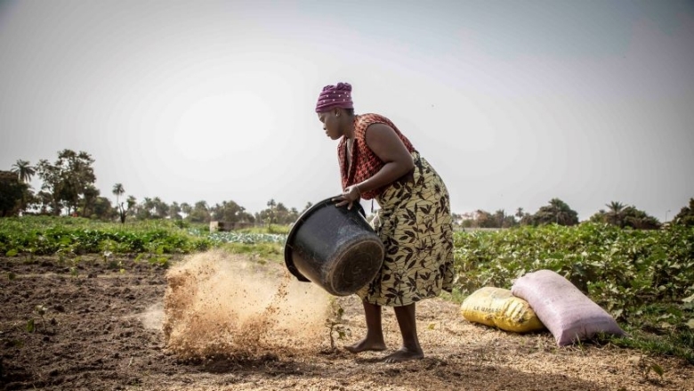 Africa-gender-innovation-lab-The-Gambia-Florio-2021.jpg