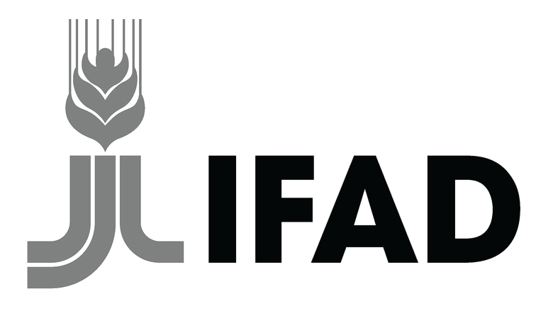 IFAD logo