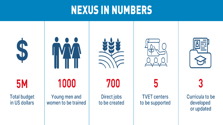 TRACE Nexus Project