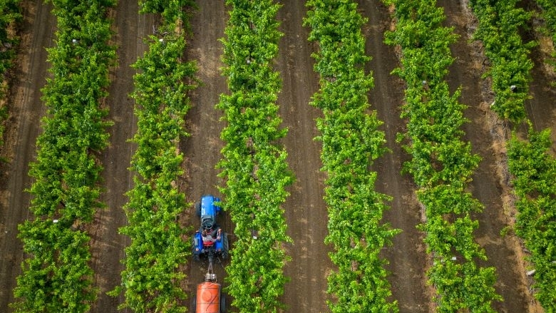 World Bank Supports Project to Modernize Agriculture  Systems in India’s Uttar Pradesh State Benefiting 1 million Farmers