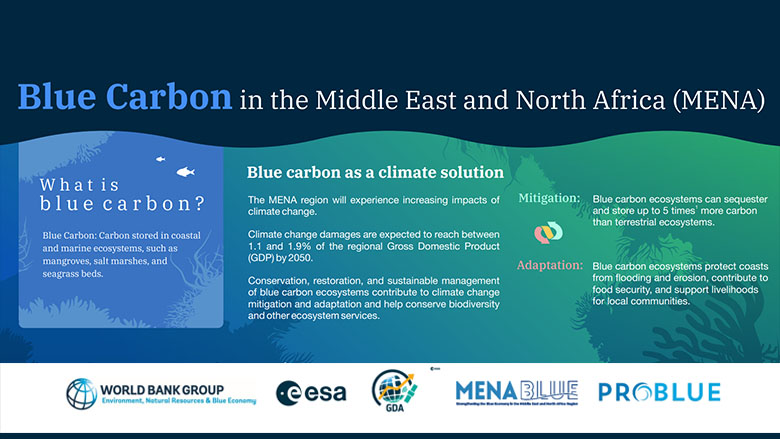 Blue Carbon in the Middle East and North Africa (MENA)