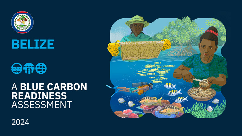 A Blue Carbon Readiness Assessment Belize 