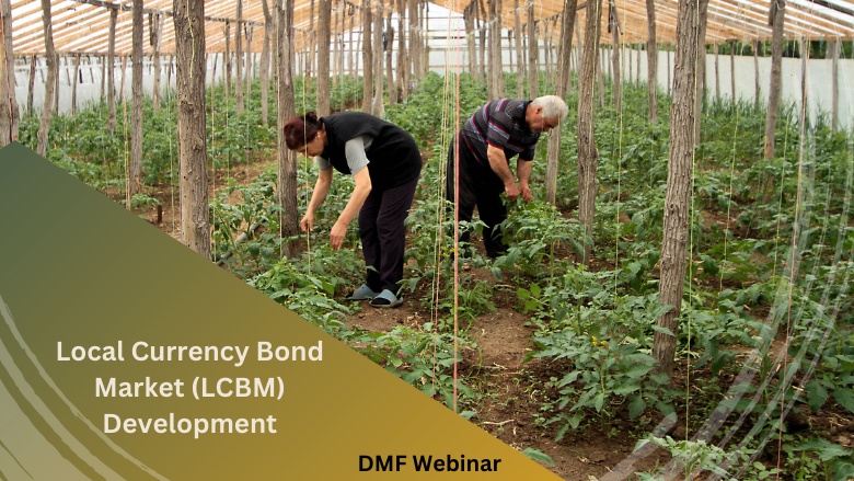 DMF Webinar  on LCBM