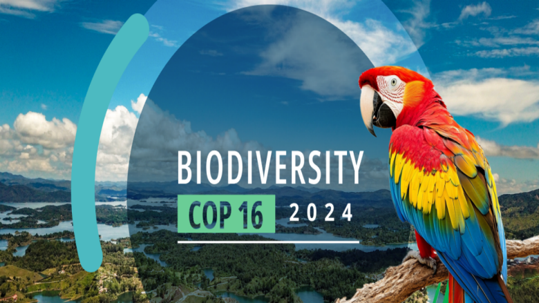 COP16-2024Cover-webpage-image-1140x600-1-3MB.png