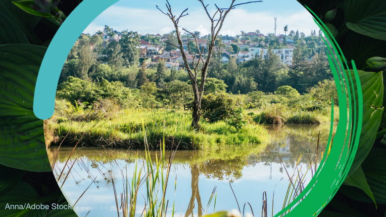 WBG COP16 biodiversity and Nyandungu Urban Wetland Eco-tourism Park Anna/Adobe Stock