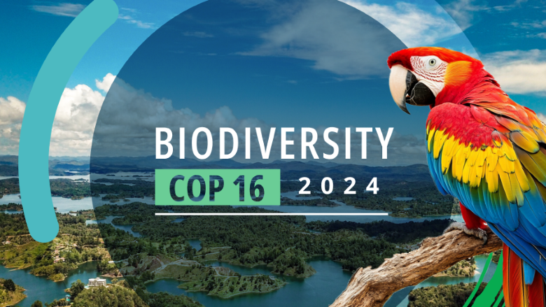 WBG COP16 biodiversity cover image blue green scenary and parrot