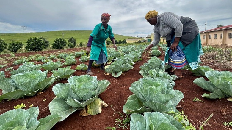 Climate-smart agriculture