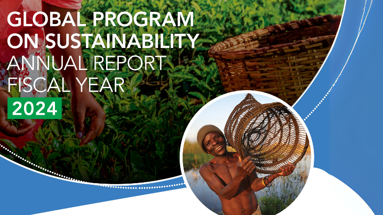 Global Program on Sustainability Annual Report