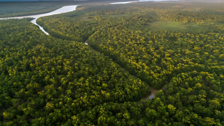 ASL Webinar State of Ecological Connectivity in the Panamazon Credit RAISG