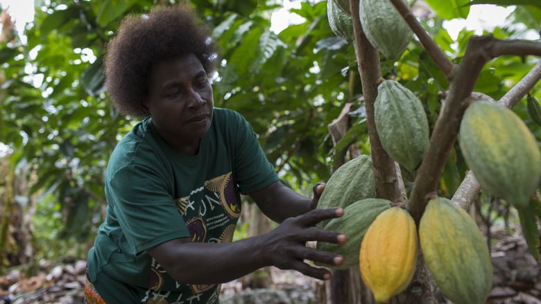 A New Food Economy, Rooted in Progress