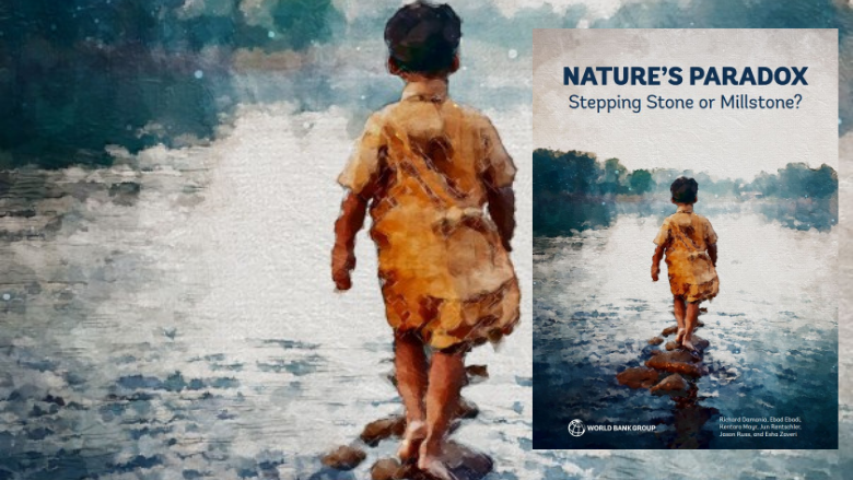 Nature's Paradox Cover Nature's Paradox Cover