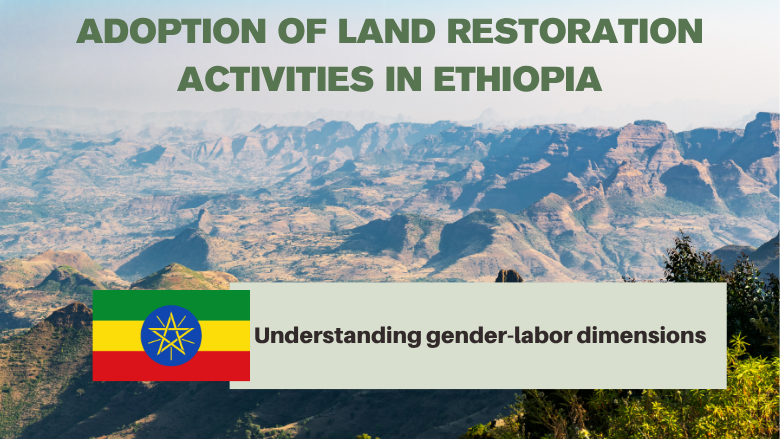 Forests Ethiopia flag Forests Ethiopia flag