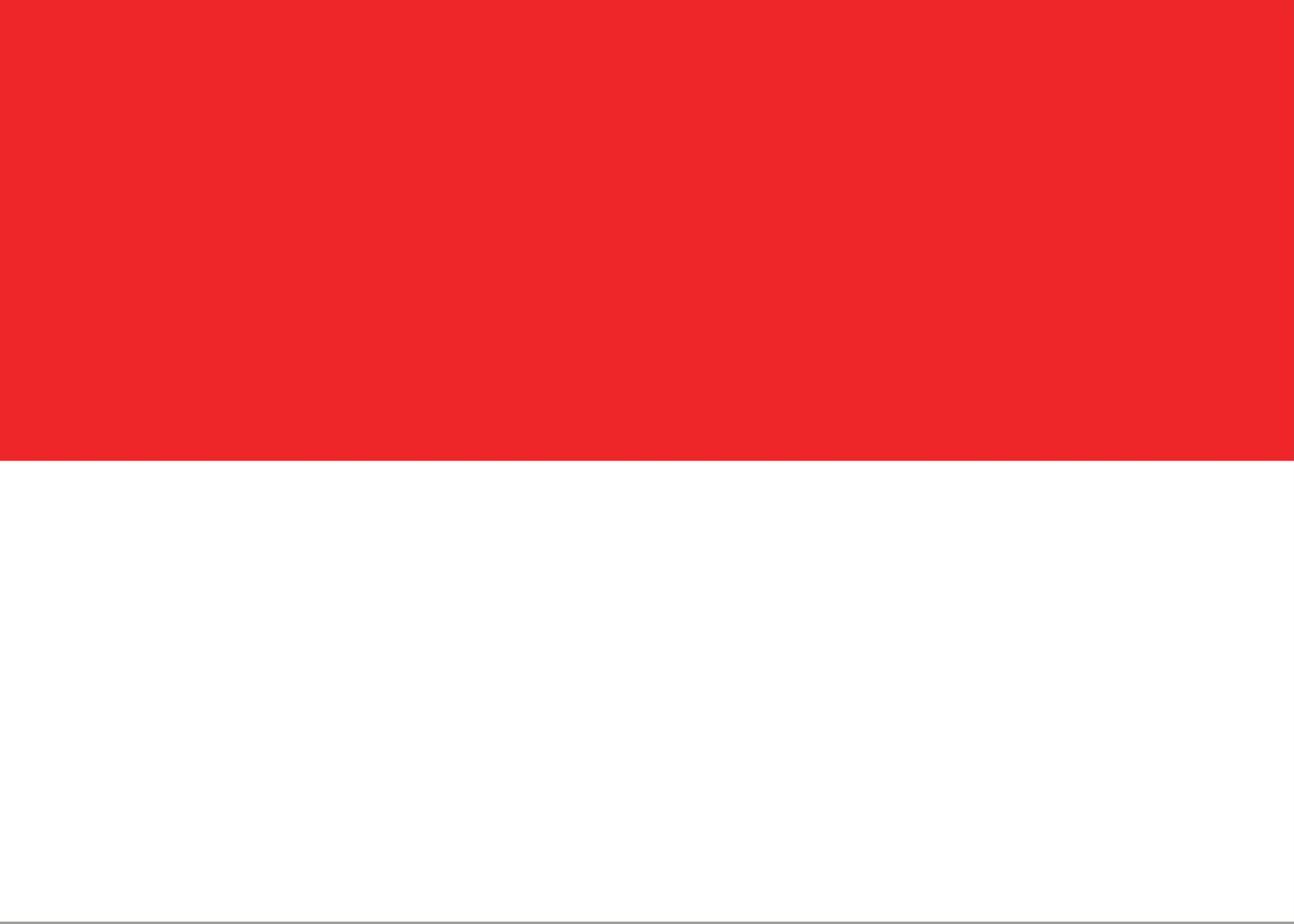 illustration of the Indonesia flag