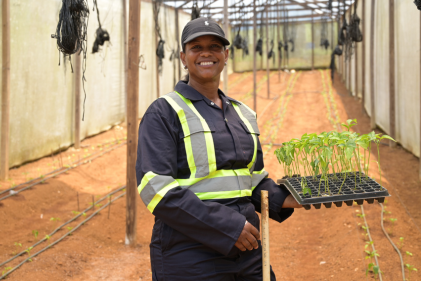 Woman working inside a greenhouse in Jamaica