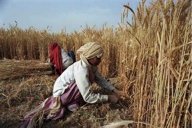 Latest Global Commodity Markets Insights