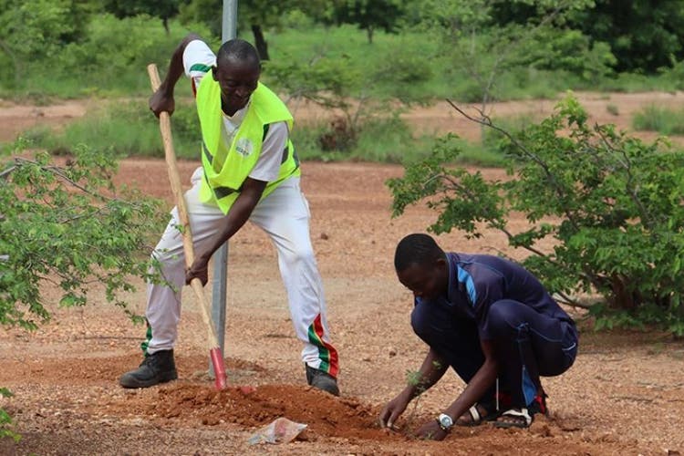 Scaling-up Sustainable Solutions for Dryland Forests