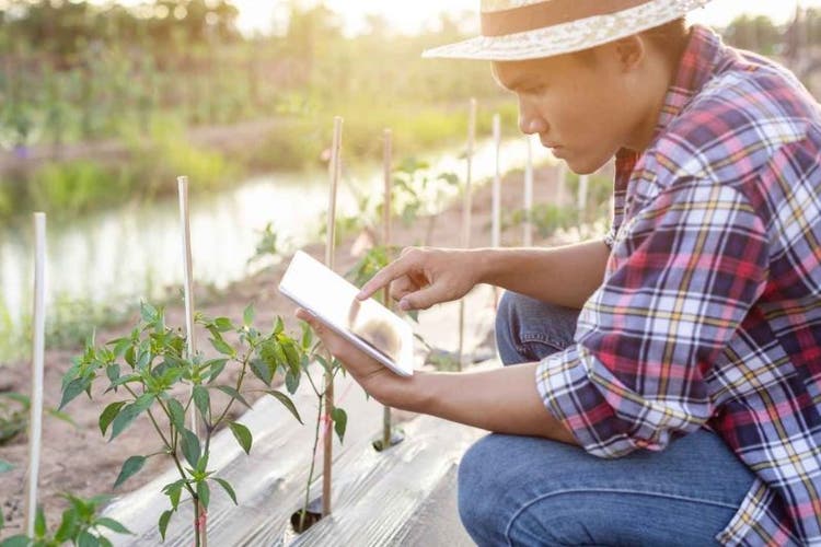 Agriculture and Food: Engine of Sustainable Growth and Jobs